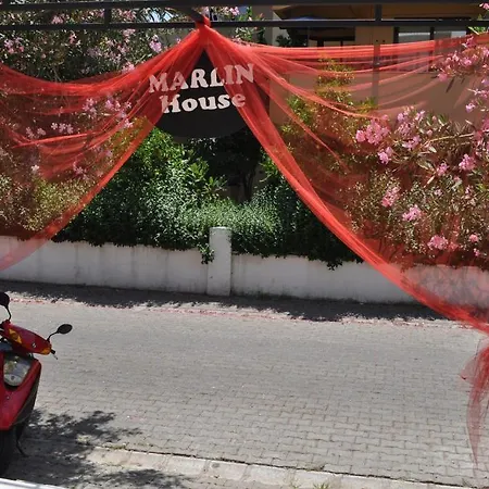 マーリン 2* マルマリス